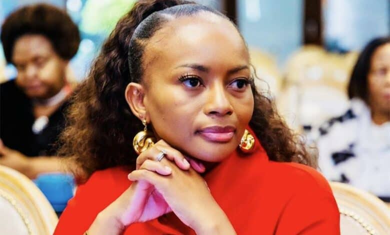 Public participation is encouraged in these consultation meetings.