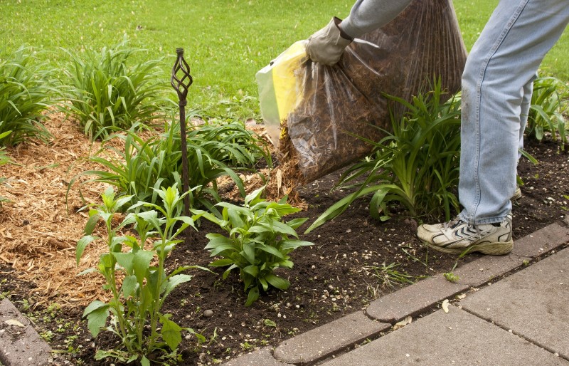 March - Press Release LIAG - In the Garden1 (Custom)