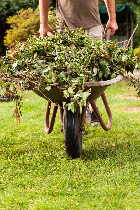 July - Press Release LIAG - In the Garden4