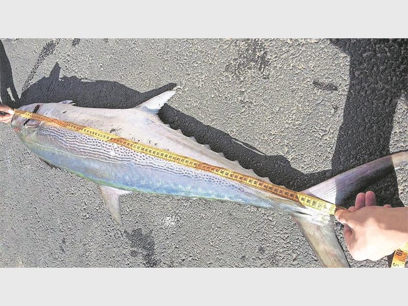 The catch is a pending new junior record.