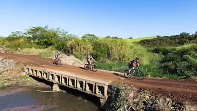 MTBBridge