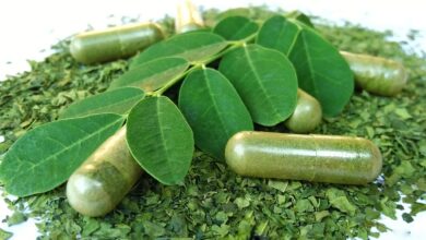 Moringa,Leaves,And,Flowers,(moringa,Oleifera),Moringa,Powder,Capsules,Isolated