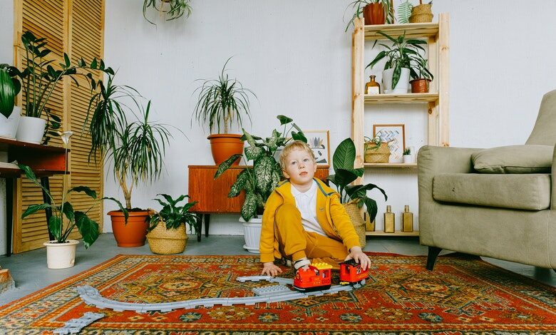Plants