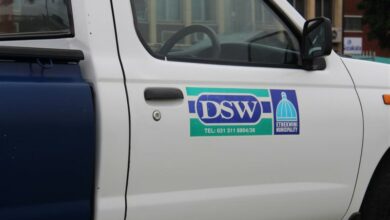 DSW-Medium-800x533