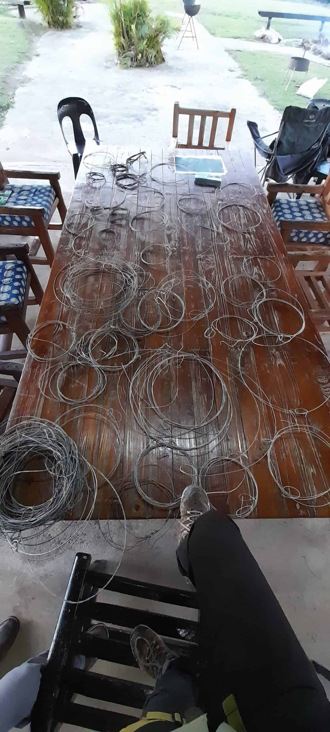 Many snares laid out on a table.