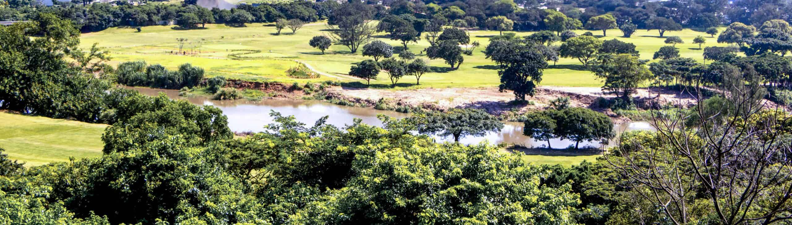 A view of a golf course