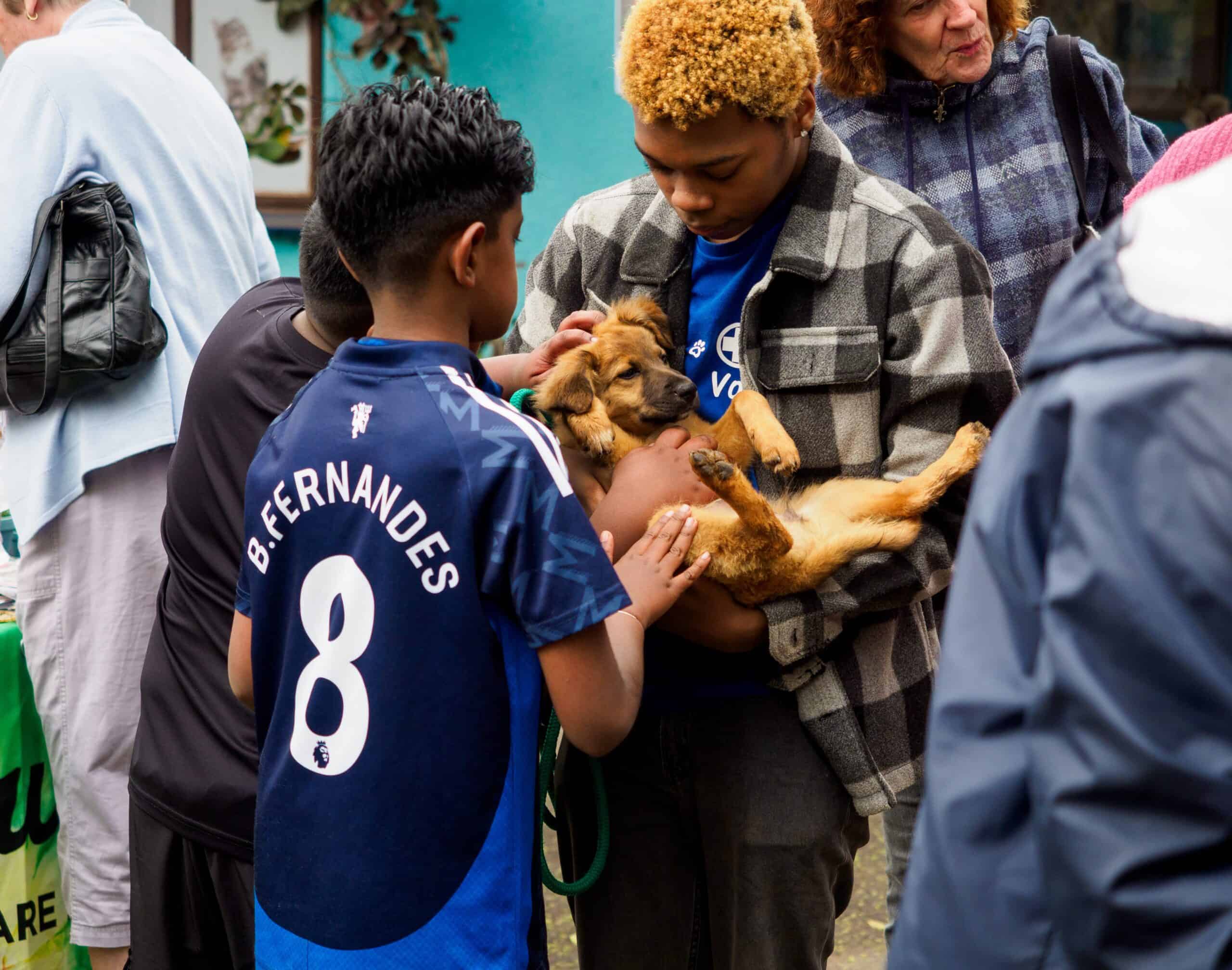 A puppy being held for kids to see.