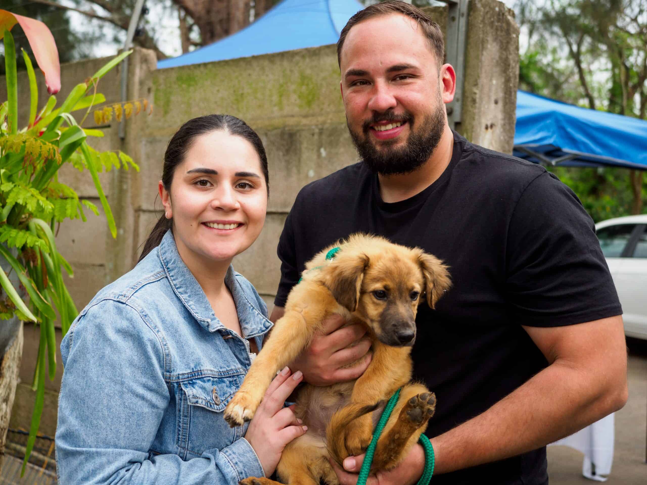 A man and a woman holding a dog.