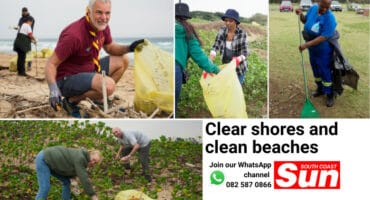 A collage of photographs with people cleaning up a beach.