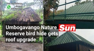 A bird hide roof refurbishment