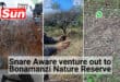 Photos of snares in the wild.