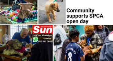 Scenes from an animal non profit organisation's open day