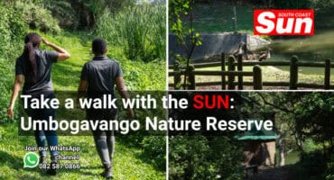 A nature reserve, two guides, two birds in the water, a birding hut.