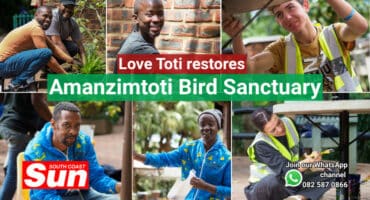 Multiple photographs of people restoring the facilities of a bird sanctuary.