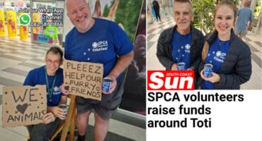 Two pairs of volunteers for an animal rescue and rehoming organisation.