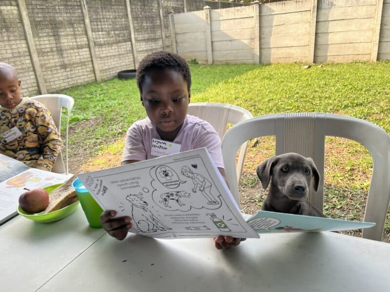 A girl looking at a diagram and her dog