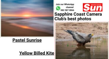 A photograph of a sunrise and a photograph of a yellow billed kite.