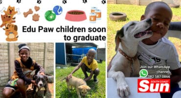 Children and their dogs.