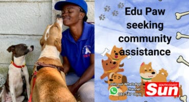 A woman playing with two dogs.