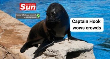 Bluff CPF urges the members of the public to report crime