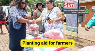 A woman receives seeds from another woman while two other women look on.