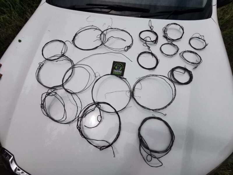snares laid out on a table