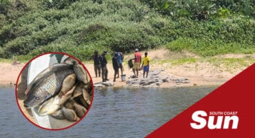 people illegally fishing at a river mouth. inset: a bucket of fish