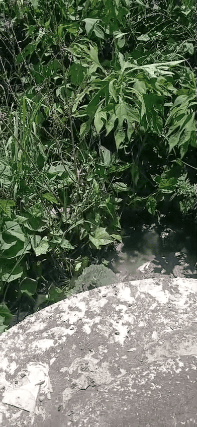 a leaking manhole
