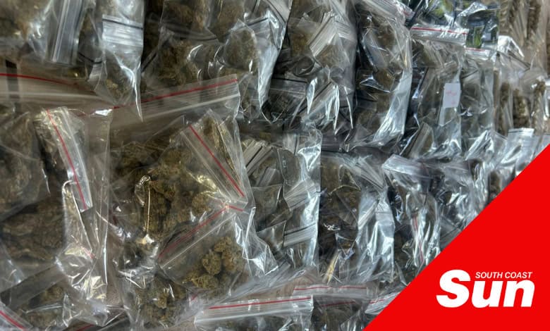 Cannabis crackdown across South Coast