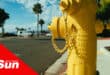 a photograph of a yellow fire hydrant
