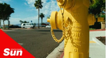 a photograph of a yellow fire hydrant