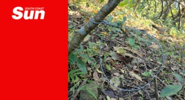 a snare found in the woods
