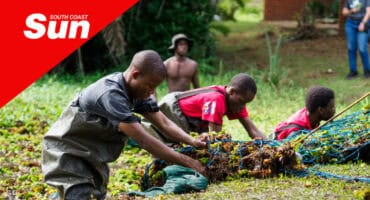 multiple young men in Kariba weed infested waters, pushing netted weeds out of the water