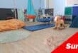A sensory room at Action in Autism. The organisation is calling for support from businesses, individuals, schools or charities to help upgrade a number of classrooms at their facility in Durban North, as a request for Mandela Day activations.