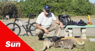 a man with his bicycle and multiple cats, eating food