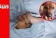 a dog wrapped tightly in a blanket, inset is a dog standing up