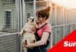A woman holding a cheerful dog at an animal shelter