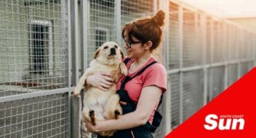 A woman holding a cheerful dog at an animal shelter