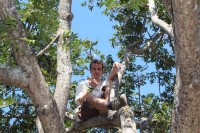 Crow volunteer, James Coxton watches over the pupils as they chop down branches off some trees.