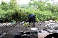 A resident of the squatter beneath Huletts bridge sweeps the ground while shacks are demolished.