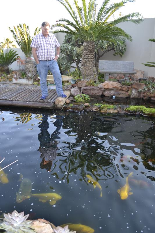 H30Koi (1)