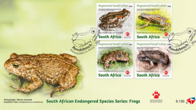 8-130 Frogs FDC_LR_RGB_150ppi