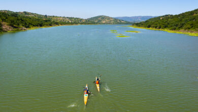 D2Dam