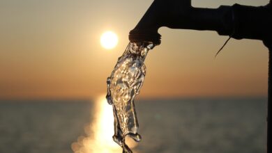 tap-at-sea