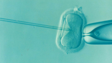 ivf-1514174_960_720