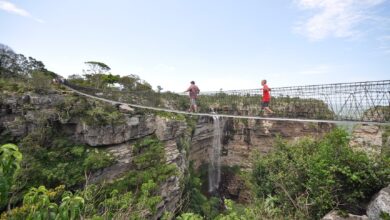 Wild 5 Adventures