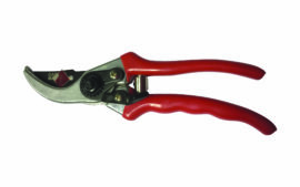 Alice Coetzee - 12-8-2022- gardening- pruning -photo 4