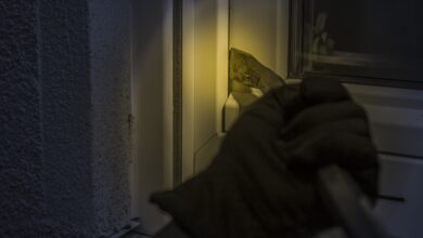 Burglar, crime, theft, house breaking,