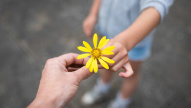 Understanding the ways children express affection