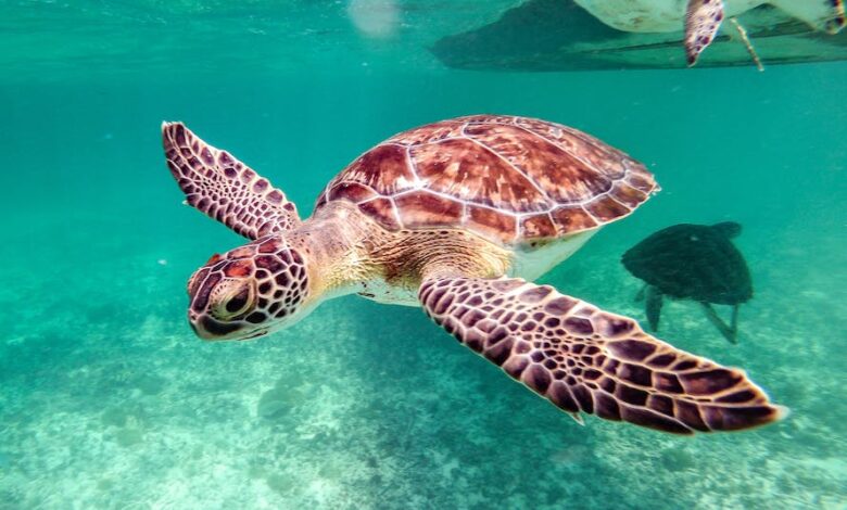 pexels-photo-12173784